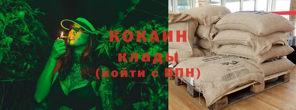 молекула духа Белоозёрский
