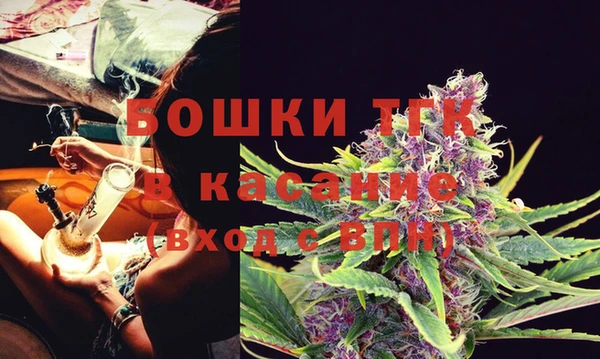 мяу мяу мука Беломорск
