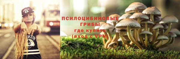 молекула духа Белоозёрский