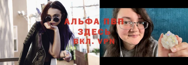 молекула духа Белоозёрский