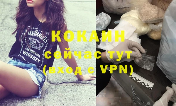 молекула духа Белоозёрский