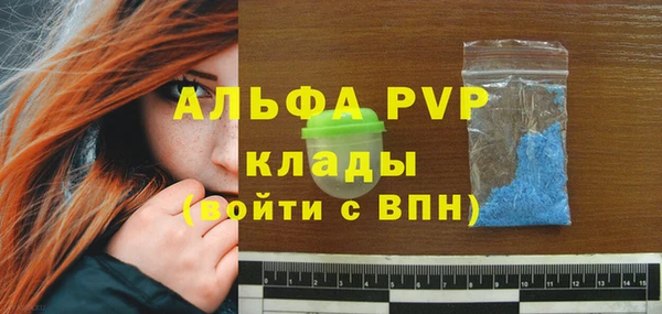 молекула духа Белоозёрский