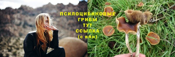 мяу мяу мука Беломорск