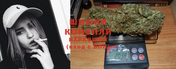 молекула духа Белоозёрский
